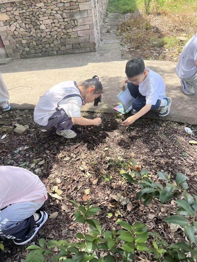 224.jpg 224.jpg