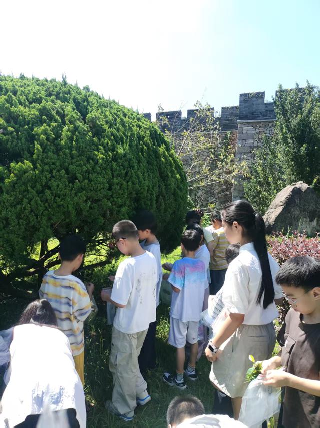 225.jpg 225.jpg